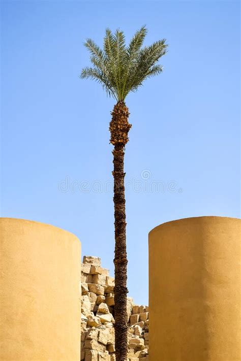 Ruins Of Karnak Temple Complex With Palm Tree And Columns Against Clear