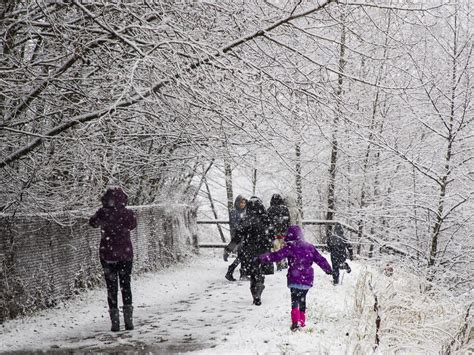 Metro Vancouvers First Snowfall Of The Year Brings Delays National Post