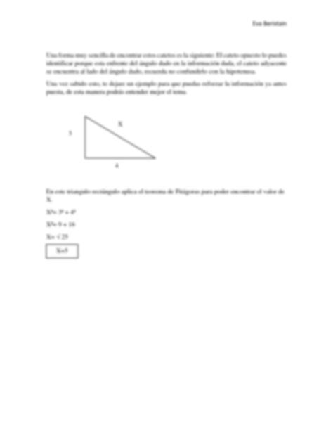 Solution Teorema De Pit Goras Studypool
