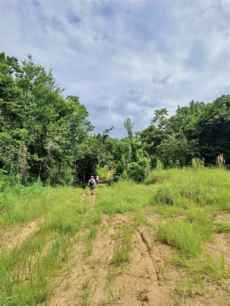 Cultivate Your Dreams: 449 Acres of Prime Land in Medina Bank, Toledo