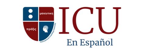 Universidad Internacional De Coaching Icu En Español