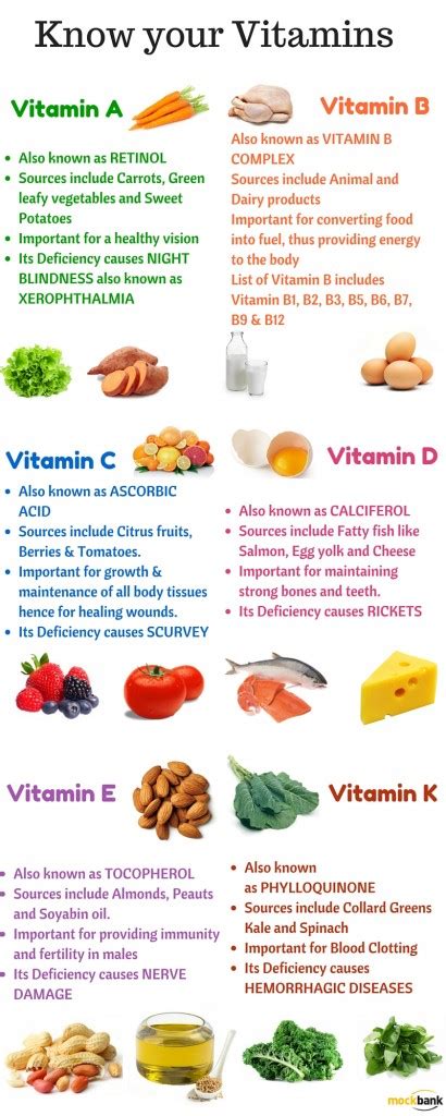 Most Important Vitamins And Minerals