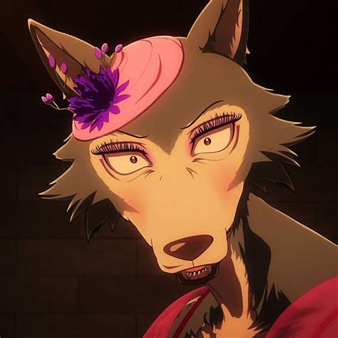 Beastars Season Episode Discussion Gallery Anime Shelter In Anime Weird Dreams