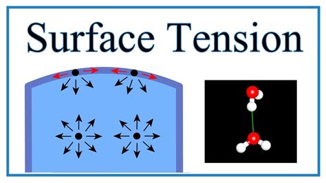 Surface Tension Of Water Mechanics Lab Youtube