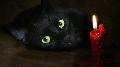 Black Cat And Candle Wallpapers And Images Wallpapers Pictures Photos