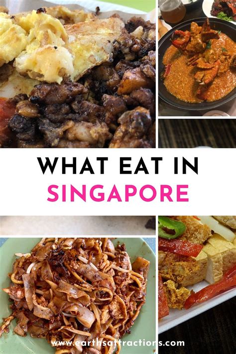 Food In Singapore 8 Tasty Singaporean Dishes To Try Earths