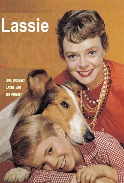 Lassie Tv Serie 1954 George Cleveland Mark Miranda Sue Lambert