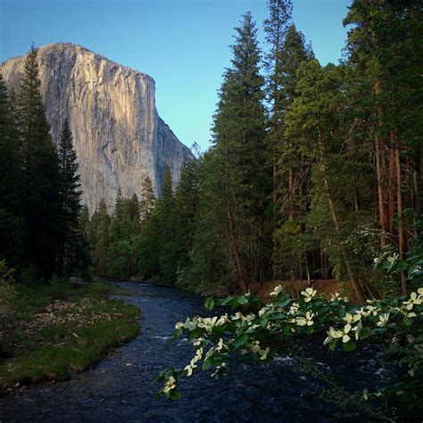 Americas Great Outdoors Spring At Yosemite National Park