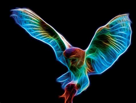 A Colorful Bird Flying Through The Air