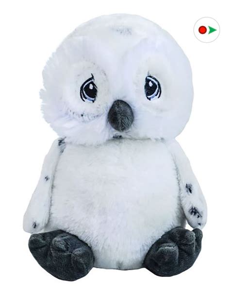 Record Your Own Plush 8 Inch Ollie The Owl Ready To Love In A Few Easy