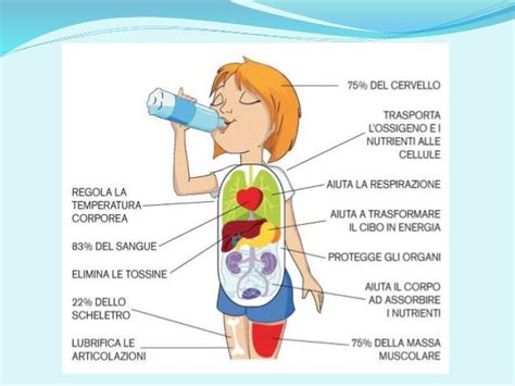 Scheda pdf di verifica sull'acqua. Risultati immagini per il ciclo dell'acqua scuola primaria ...