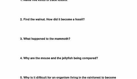 fossil activity worksheet