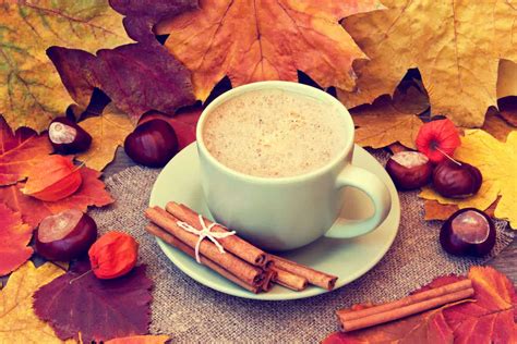 fall coffee drinks 2024 5 seasonal recipes to make at home