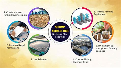 Shrimp Farming Profitable Aquaculture Business In India