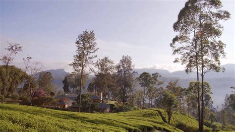 Ceylon Tea Trails Official Video Youtube