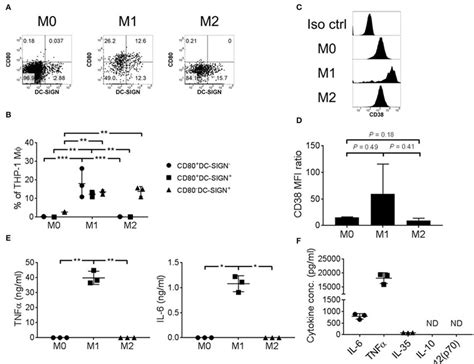 Thp 1 Derived M1 Macrophages Expressed Cd38 And Secreted