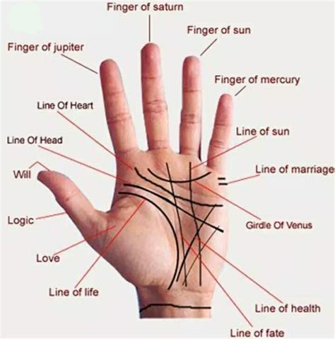 Palm Reading Charts Tarot Reflexology Foot Chart Palm Lines