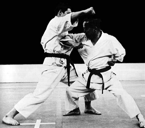 Kumite Jodan Oi Tsuki Yoko Empi Uchi Marcial Karate Artes Marciais
