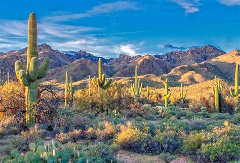 Best Desert Trips And Us National Parks Of The American Southwest