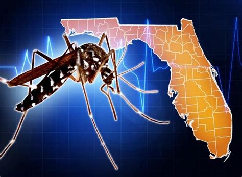 Florida Reports Second Local Zika Case For 2017 Wusf News