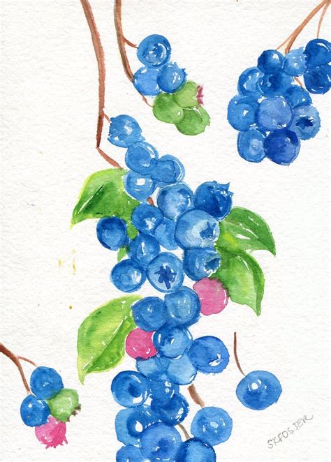 Blueberries Watercolors Painting Original Art X Fruit