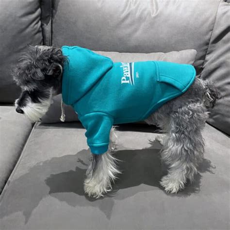 2021 Hypebeast Pawlenciaga Dog Hoodie Supreme Dog Garage