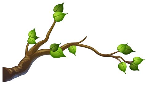 Free Tree Branch Vector Eps Illustrator Png Svg Template Net The Best