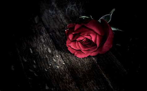 Aesthetic Dark Love Wallpapers Top Free Aesthetic Dark Love