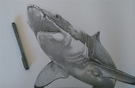 Great White Shark Made Entirely From Dots By Katherine Ross Katherine