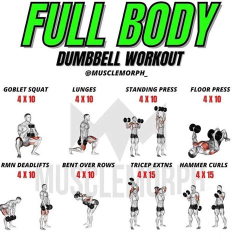 Fitnessstips On Instagram “repost Gymstips Full Body Dumbbell