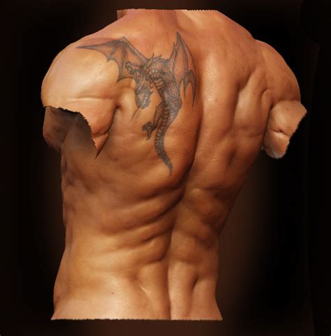 Collection by puul coates • last updated 7 weeks ago. Male Anatomy - Back02 by shoaibMalik on DeviantArt
