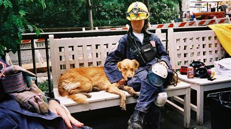 Last Known 911 Search And Rescue Dog Dies In Texas Fox News