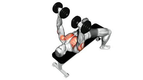 Maybe you would like to learn more about one of these? Dumbbell Bench Press Lying. Second : Video de stock ...