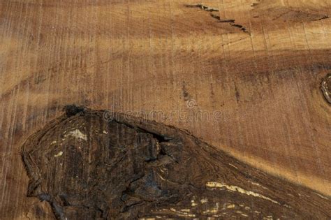 Background Of Exotic Wood Grain Stock Image Image Of Texture Natural
