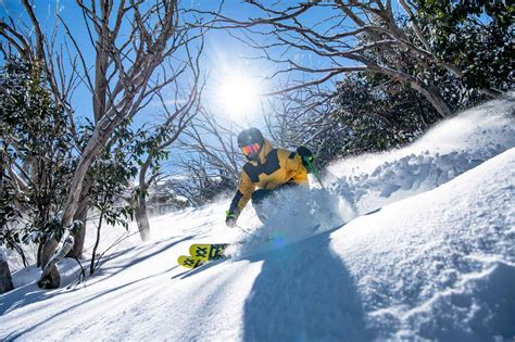 Mountainwatch Guide To Mt Buller Melbournes Mountain Is Something