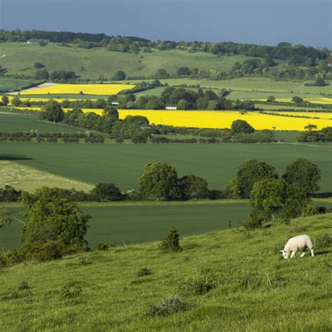 Hertfordshire Landscape License Download Or Print For £1000