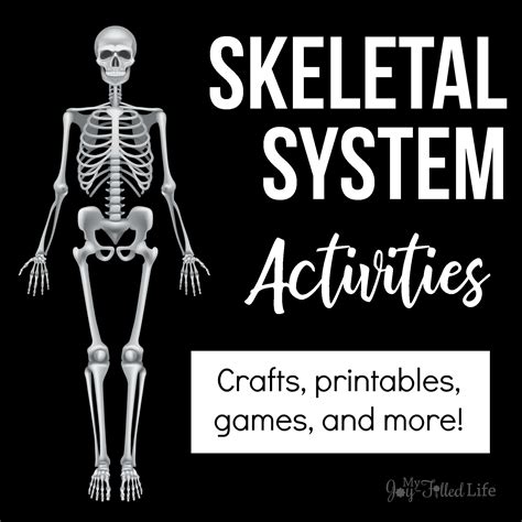 Activities For Learning About The Skeletal System Skeletal System