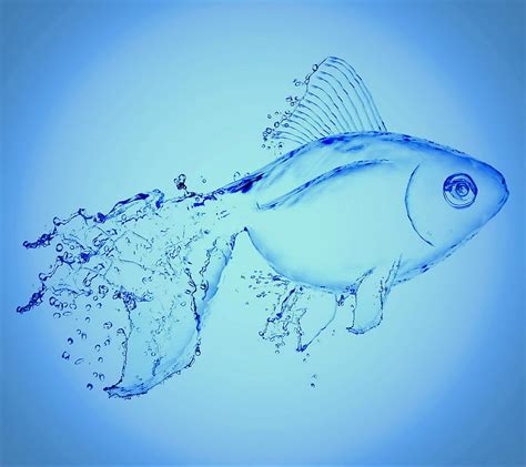 Aqua Fish Blue Drops Splash Water Hd Wallpaper Peakpx