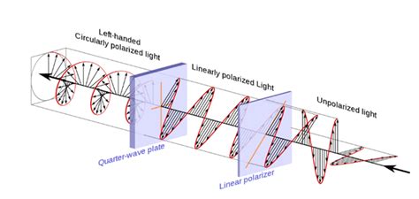 Polarization Of Light Polarized And Unpolarized Light With Types And