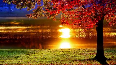 Autumn Sunset Wallpaper Widescreen