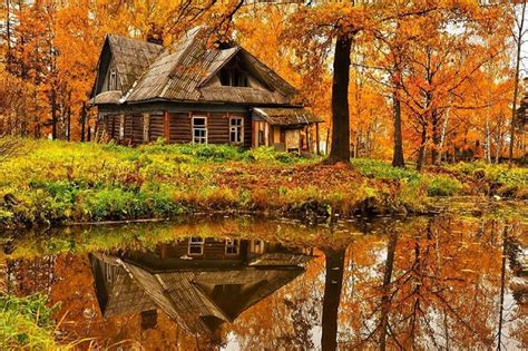 Autumn Beautiful Cabins Tree House Forest House