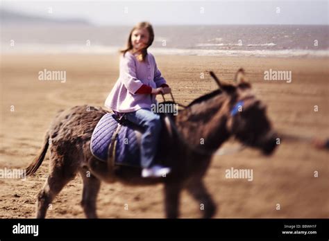 Girl Riding Donkey On The Beach Stock Photo Alamy