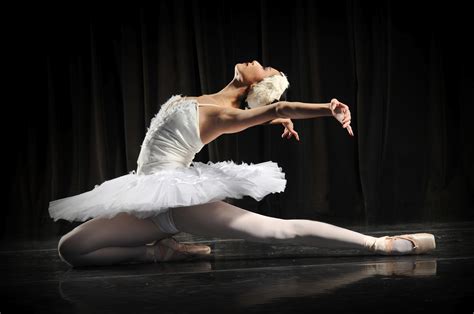 Orlando Ballet Performs Swans Black And White And The Swan Princess