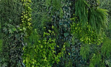 Green Wall Wallpapers Top Free Green Wall Backgrounds Wallpaperaccess