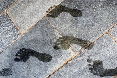Wet Foot Print On The Stone Wet Photography Stock Images Free