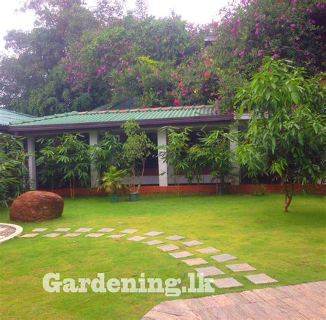 Landscaping Home Garden In Sri Lanka Interor