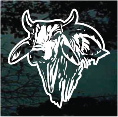 Bull Head Decals And Car Window Stickers Decal Junky