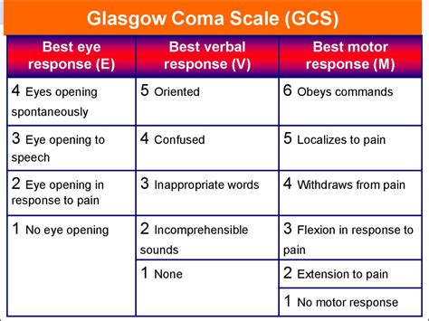 Glasgow Coma Scale Gcs Score