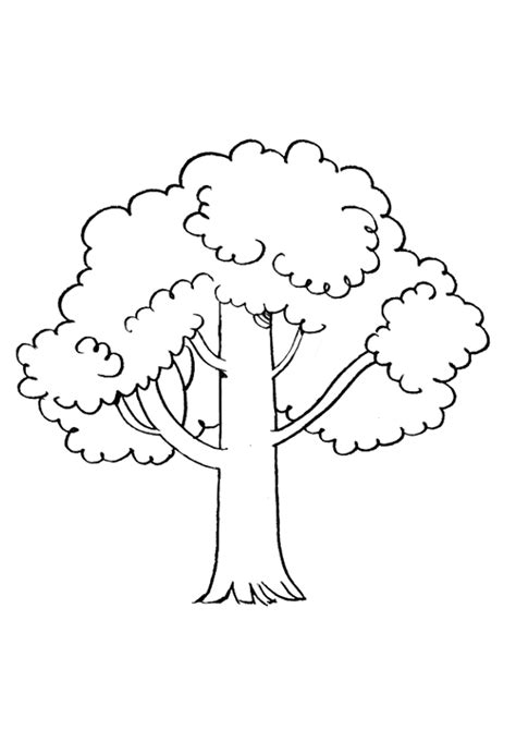 Drzewo Kolorowanka I Szablon Do Wydruku Stwórz Dowolny Rysunek