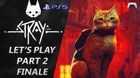 Stealthy Kitty Stray Ps5 Lets Play Part 2 Finale Youtube